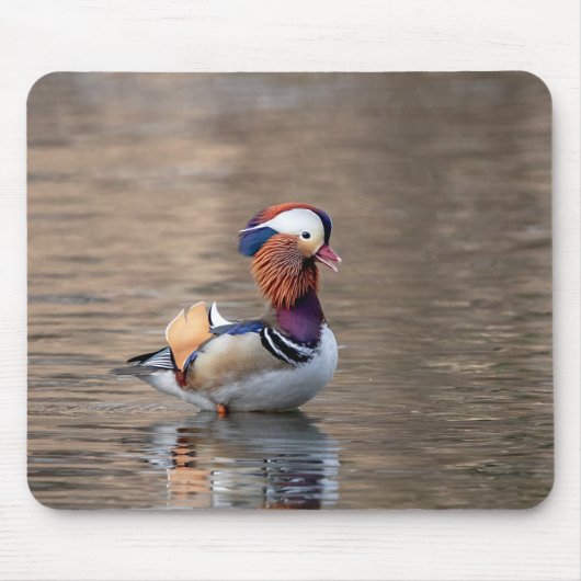 Mandarin Duck Mousepad (Vorne)