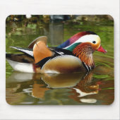 Mandarin Duck Mousepad (Vorne)