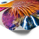 Mandarin Duck Nah Up Portrait Poster (Ecke)