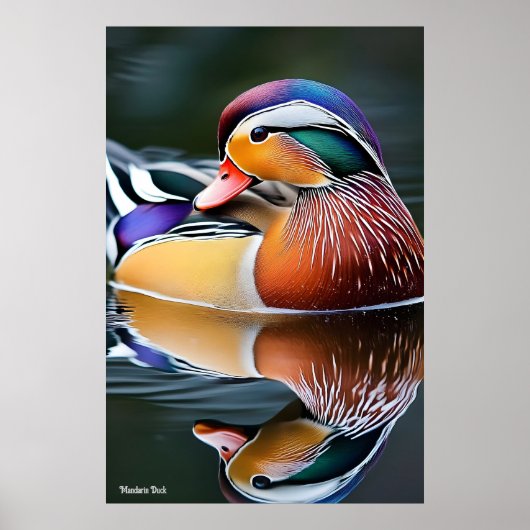 Mandarin Duck Poster (Vorne)