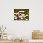Mandarin Duck Poster (Küche)