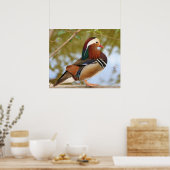 Mandarin Duck Poster (Küche)