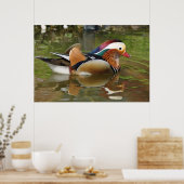 Mandarin Duck Poster (Küche)