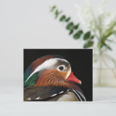 Mandarin Duck Postkarte (Stehend Vorderseite)