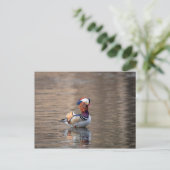 Mandarin Duck Postkarte (Stehend Vorderseite)
