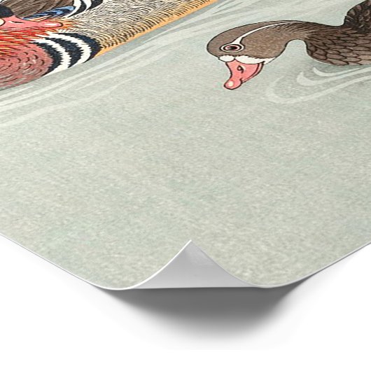 Mandarin-Duck-Print-Paar Poster (Ecke)