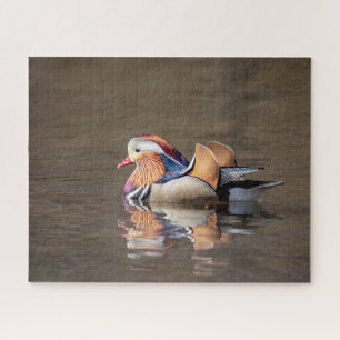 Mandarin Duck Puzzle