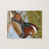 Mandarin Duck Puzzle (Horizontal)