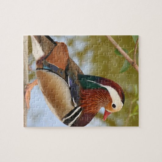 Mandarin Duck Puzzle (Horizontal)