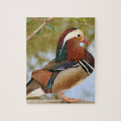 Mandarin Duck Puzzle (Vertikal)