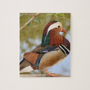 Mandarin Duck Puzzle