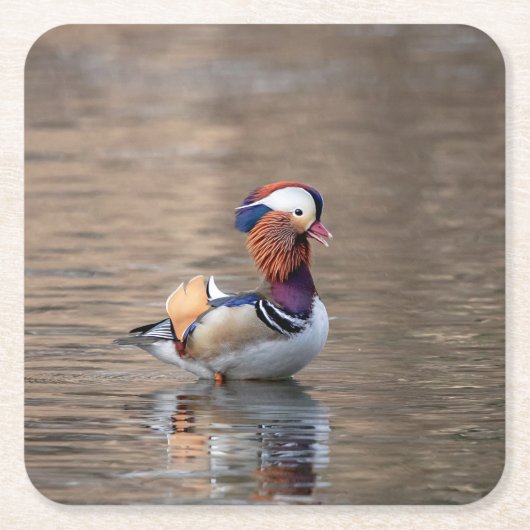Mandarin Duck Rechteckiger Pappuntersetzer (Vorderseite)