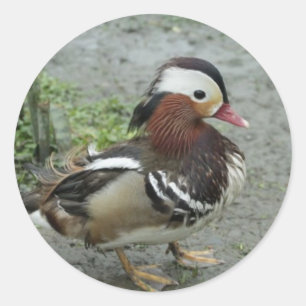 Mandarin Duck Runder Aufkleber
