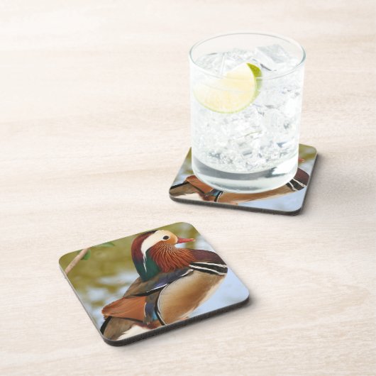 Mandarin Duck Untersetzer (Rechte Seite)