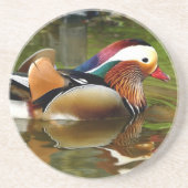 Mandarin Duck Untersetzer (Vorne)