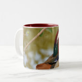 Mandarin Duck Zweifarbige Tasse (Vorderseite Links)