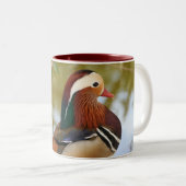 Mandarin Duck Zweifarbige Tasse (VorderseiteRechts)
