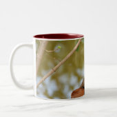 Mandarin Duck Zweifarbige Tasse (Links)