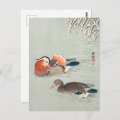 Mandarin Ducks Painting von Ohara Koson Postkarte (Vorne/Hinten)