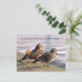 Mandarin ducks togertherness postkarte (Stehend Vorderseite)