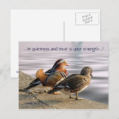 Mandarin ducks togertherness postkarte (Vorne/Hinten)