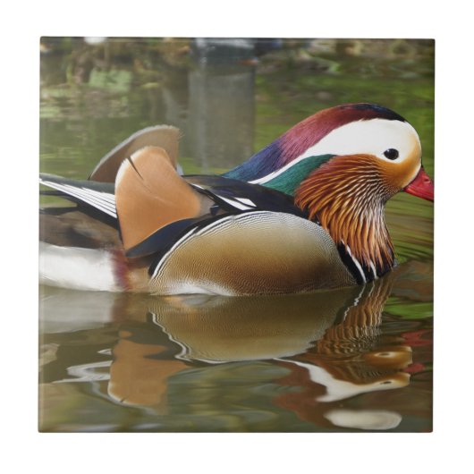 Mandarin-Ente Fliese (Vorderseite)