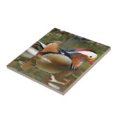 Mandarin-Ente Fliese (Seite)