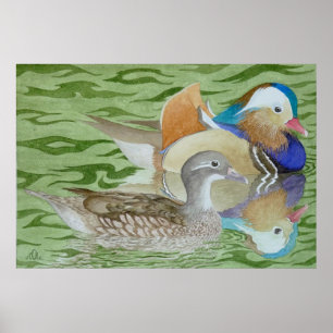 Mandarin-Enten am See Poster