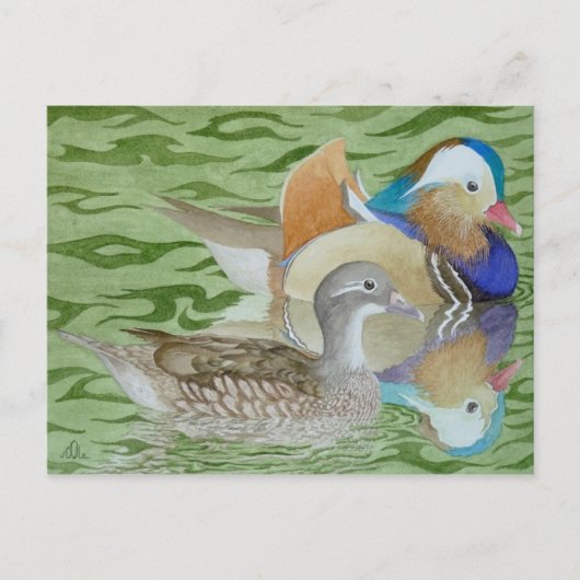 Mandarin-Enten am See Postkarte (Vorderseite)