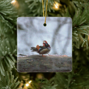 Mandarin-Enten-Foto-Keramik-Ornament Keramikornament