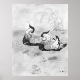 Mandarin Enten Poster