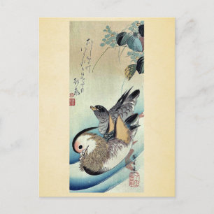Mandarin Enten von Ando, Hiroshige Ukiyoe Postkarte