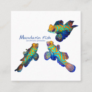 Mandarin-Fisch-Party Quadratische Visitenkarte