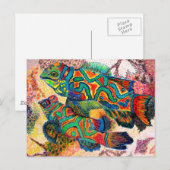 Mandarin Fish Art Postkarte (Vorne/Hinten)