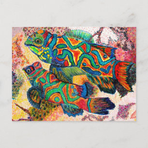 Mandarin Fish Art Postkarte