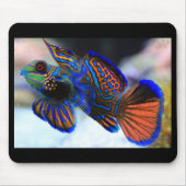 Mandarin Fish Mousepad (Vorne)