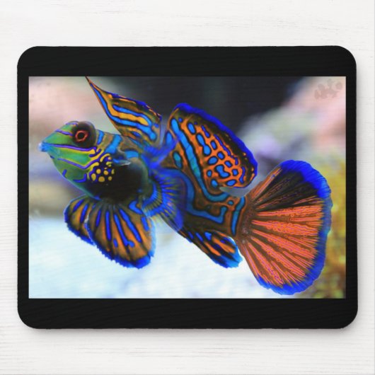Mandarin Fish Mousepad (Vorne)
