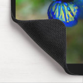 Mandarin Fish Mousepad (Ecke)