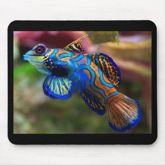 Mandarin Fish Mousepad (Vorne)
