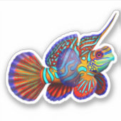Mandarin Fish Ocean Fish Vinyl Sticker (Vorderseite)