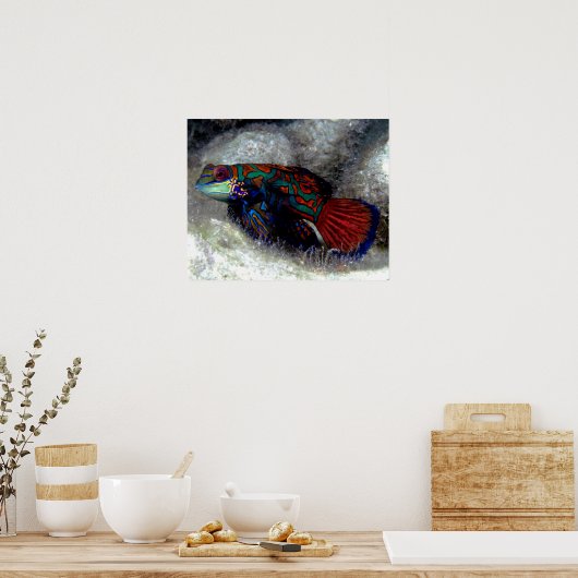 Mandarin Fish Poster (Küche)