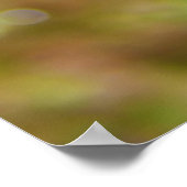 Mandarin Fish Synchiropus Splendidus Poster (Ecke)