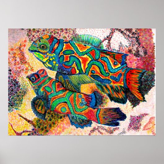 Mandarin Fish Wassercolor Poster (Vorne)