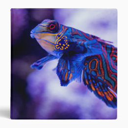 Mandarin Goby Fish 3 Ring Binder 3,8 Cm Ordner
