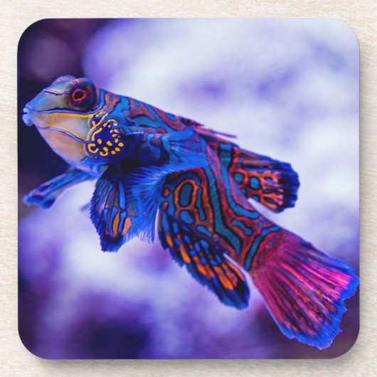 Mandarin Goby Fish Beverage Coaster Getränkeuntersetzer (Vorderseite)