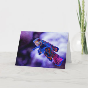 Mandarin Goby Fish Dankeskarte
