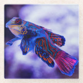 Mandarin Goby Fish Glasuntersetzer (Vorderseite)