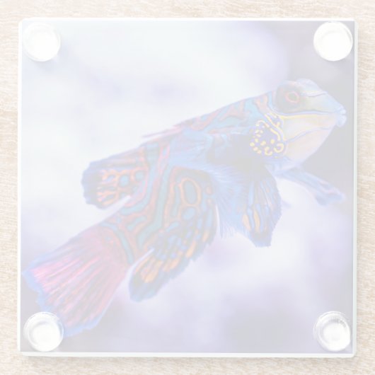 Mandarin Goby Fish Glasuntersetzer (Rückseite)