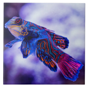 Mandarin Goby Fish Keramik Tile Fliese