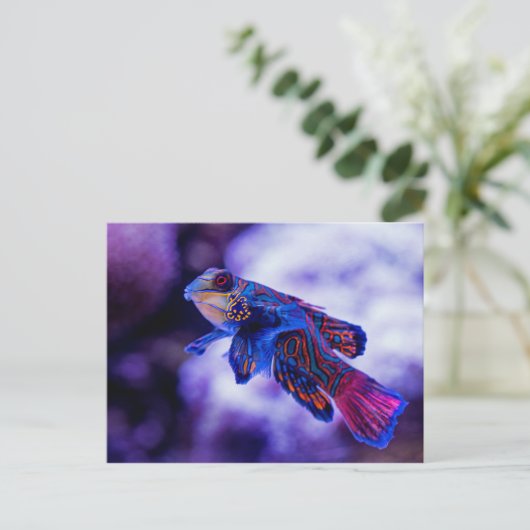 Mandarin Goby Fish Postkarte (Stehend Vorderseite)